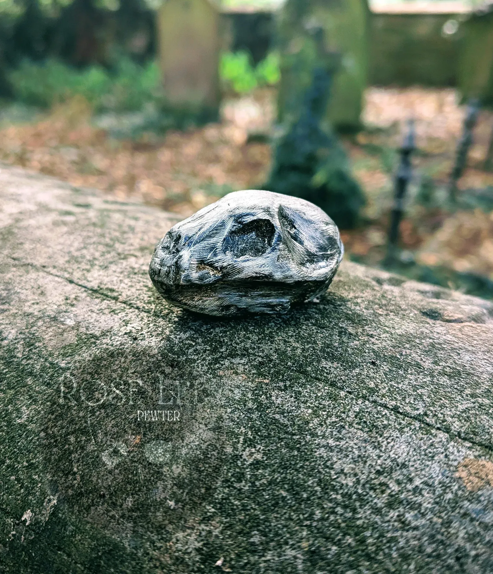 bat skull - the bones collection