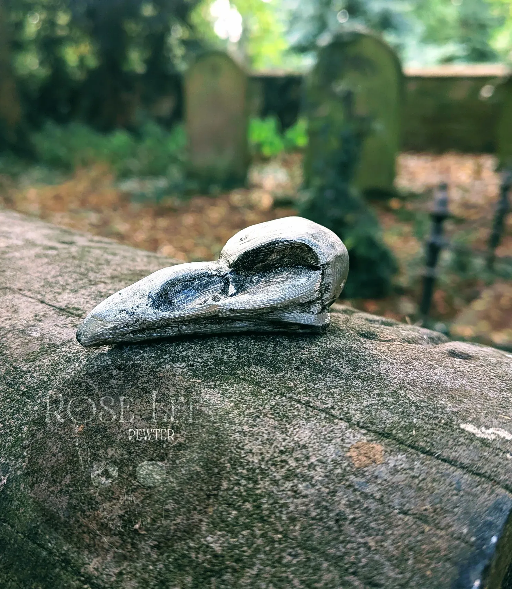 crow skull - the bones collection